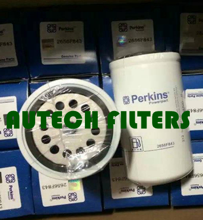 Auto Parts Diesel Fuel Filter Element 2656F843